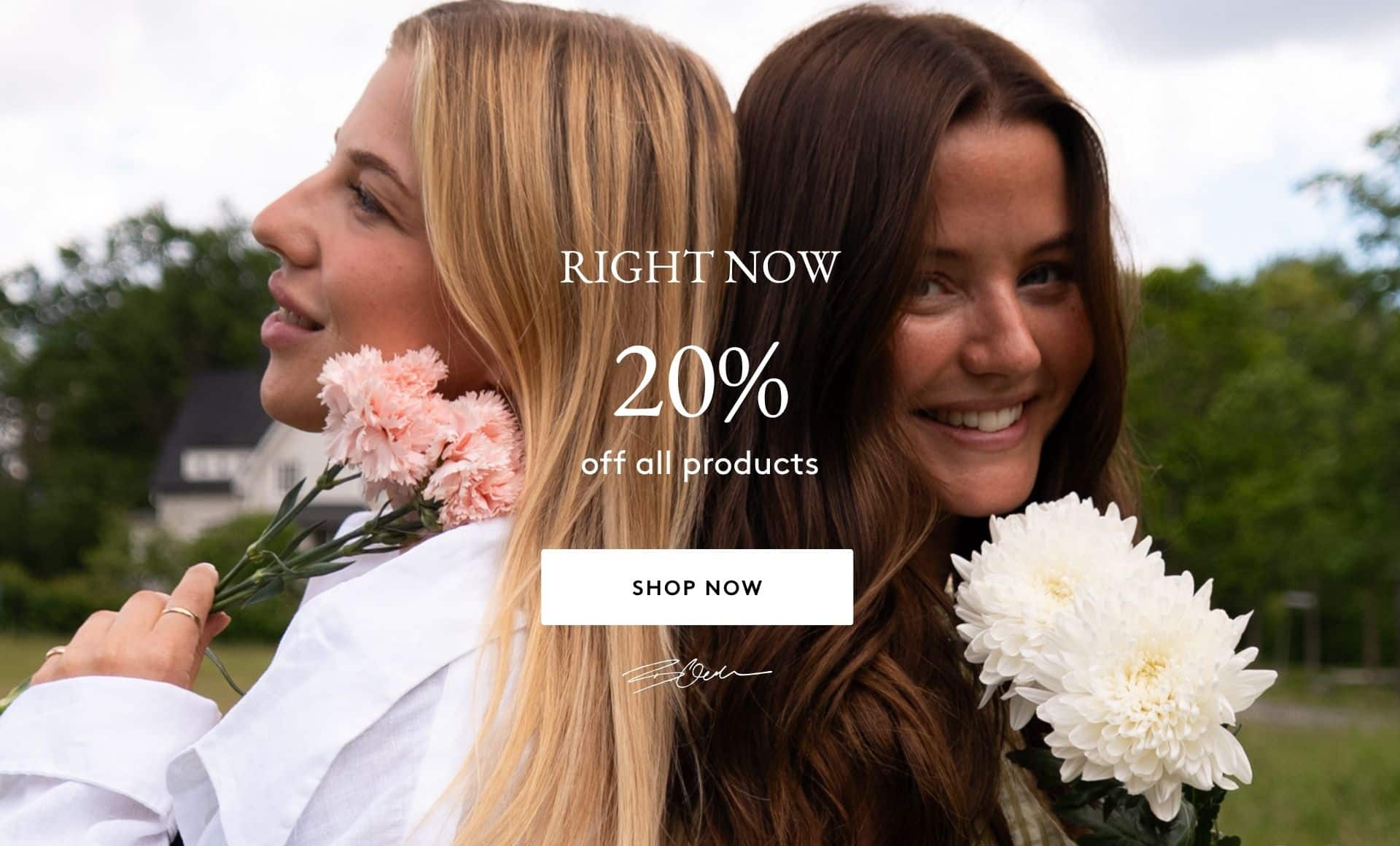 20% sitewide + hairbrush