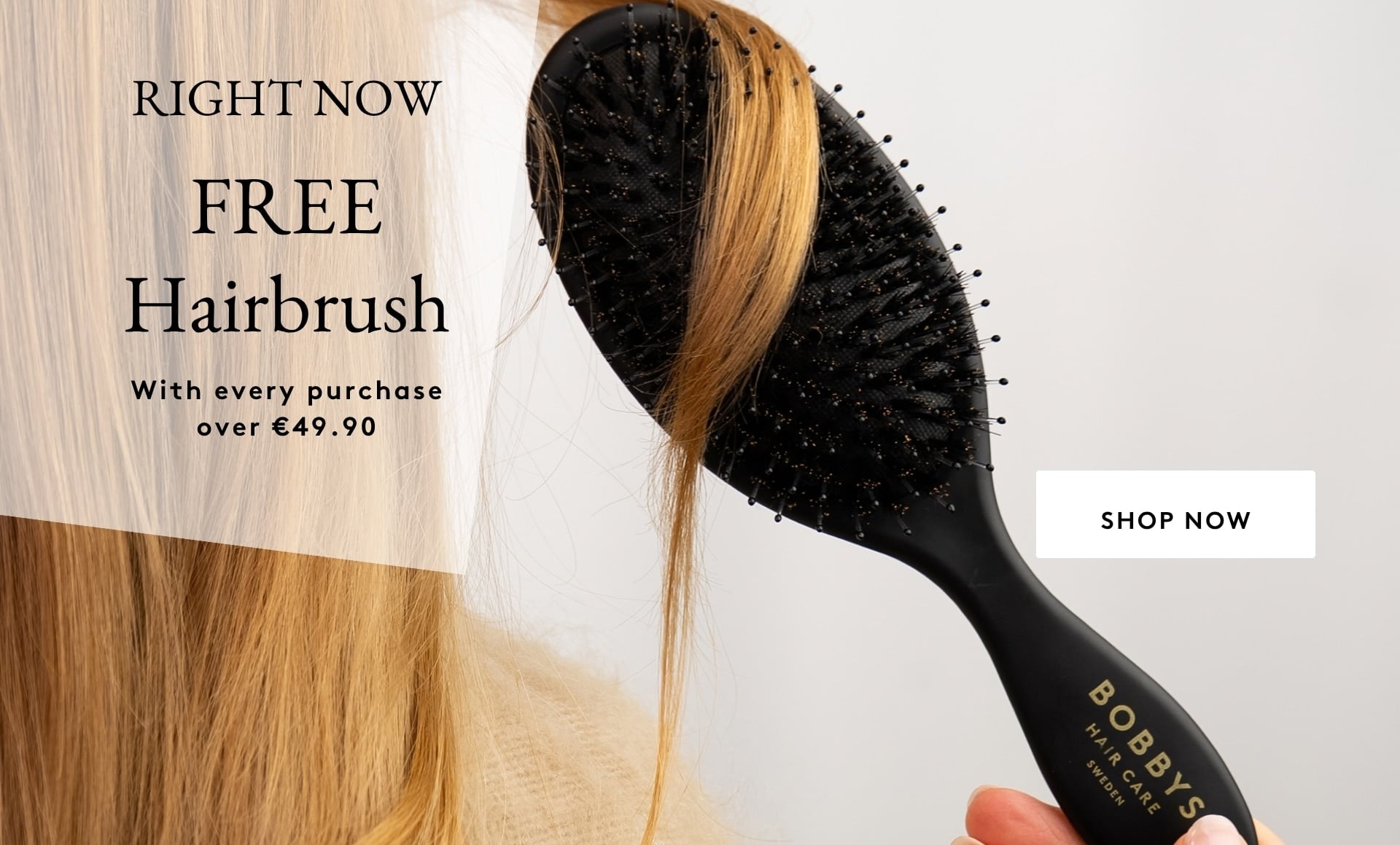 Free Hairbrush